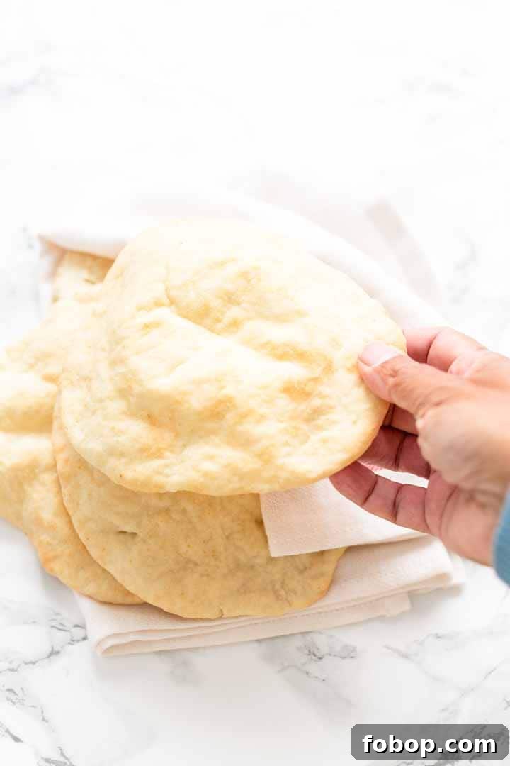 Crispy Air Fryer Flatbread Recipe in Minutes 9 Air Fryer flatbread ingredients self-rising flour, oil, Greek yogurt