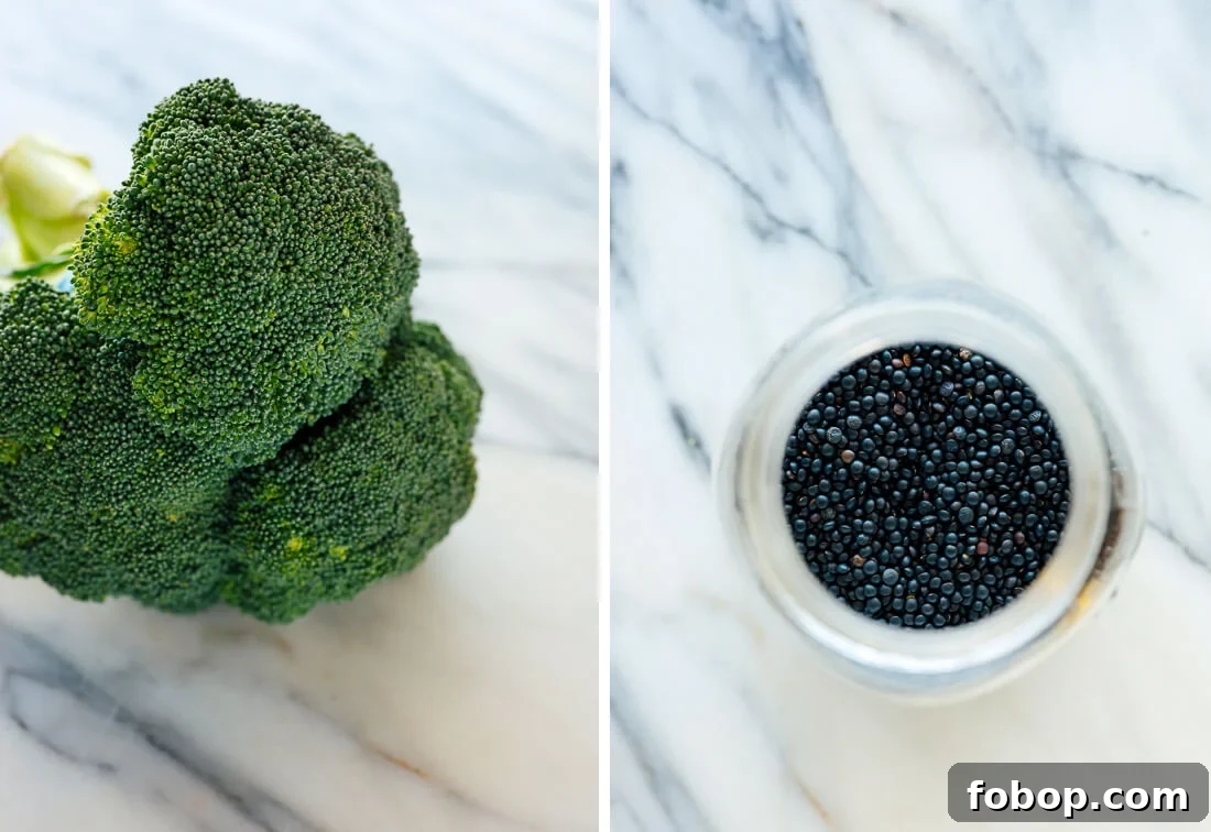 Lemony Roasted Broccoli, Arugula & Lentil Salad Recipe 3 broccoli and raw black lentils