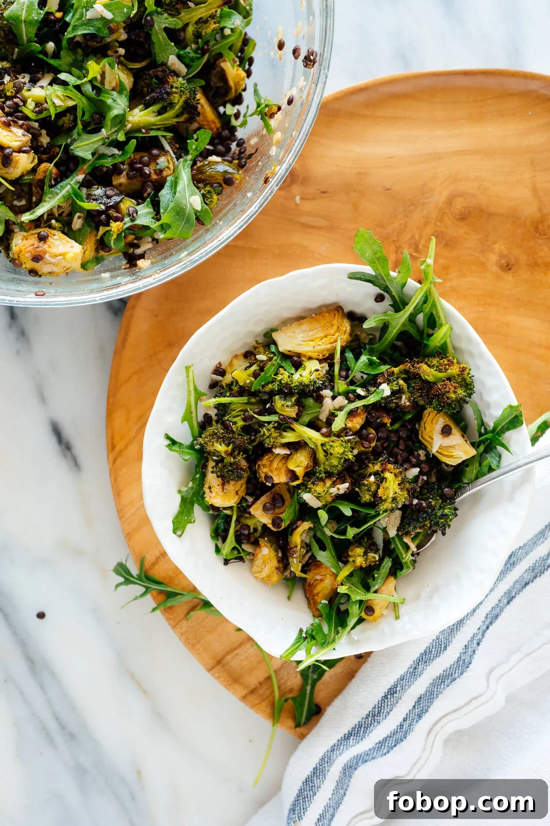 Lemony Roasted Broccoli, Arugula & Lentil Salad Recipe 9 brussels broccoli lentil salad single serving