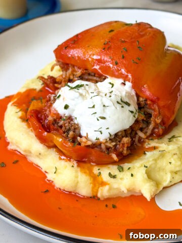 peppers stuffed with ground beef and rice