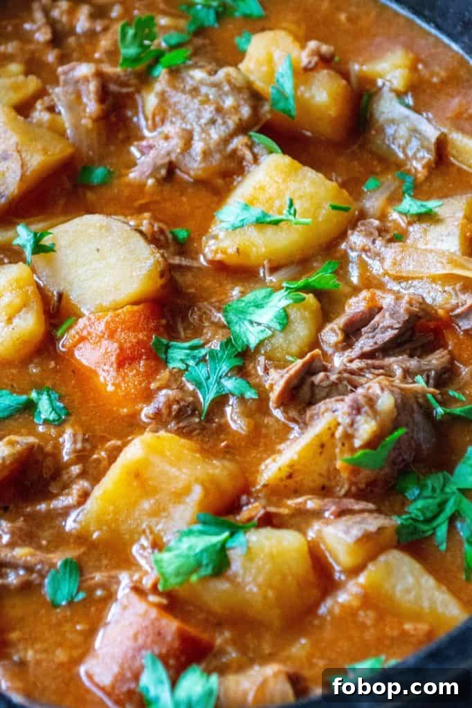 Easy Slow Cooker Beef Stew is made with tender chunks of stew meat, tons of vegetables and a tasty, rich broth making this easy beef stew recipe the perfect slow cooker comfort food.