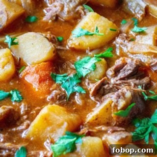 Easy Slow Cooker Beef Stew is made with tender chunks of stew meat, tons of vegetables and a tasty, rich broth making this easy beef stew recipe the perfect slow cooker comfort food.