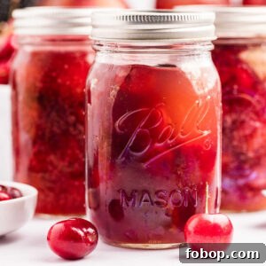 Homemade Cherry Pie Filling for Water Bath Canning: Step-by-Step Guide 13 Three jars of homemade cherry pie filling with fresh cherries around them.