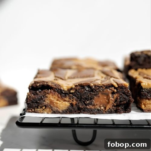 Reese's Peanut Butter Swirl Brownies