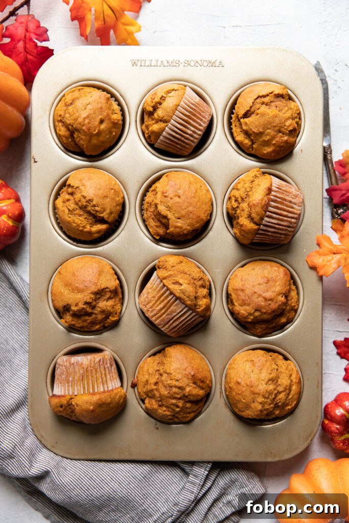 Moist Pumpkin Muffins with Warm Spices — Simple Fall Recipe 2 pumpkin muffins in a muffin tin.