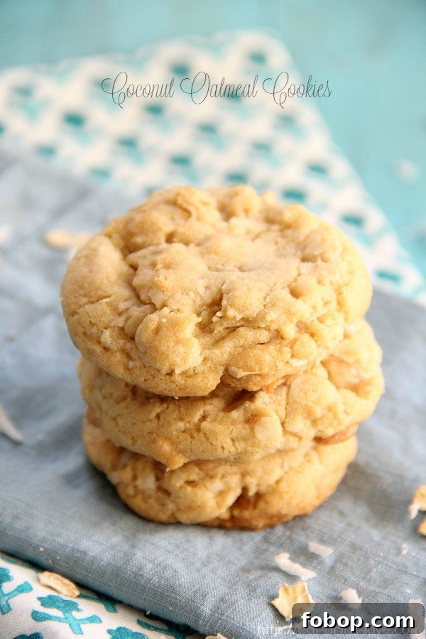 Coconut Oatmeal Cookies