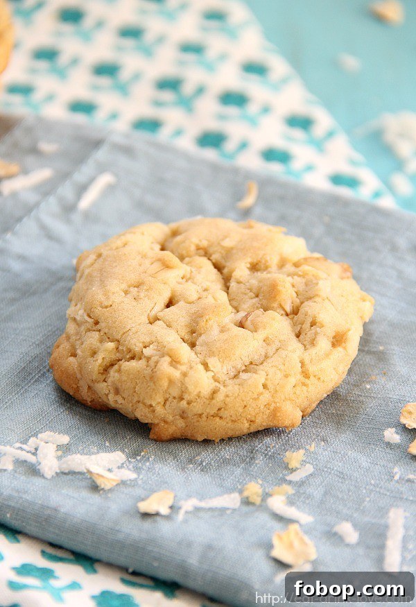 Coconut Oatmeal Cookies