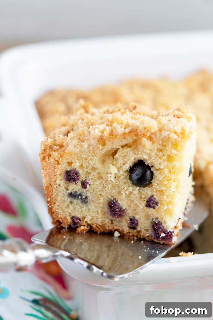 Blueberry Coffee Cake with Buttery Crumb Topping 2 A piece of coffee cake getting lift with a cake server from a baking dish.