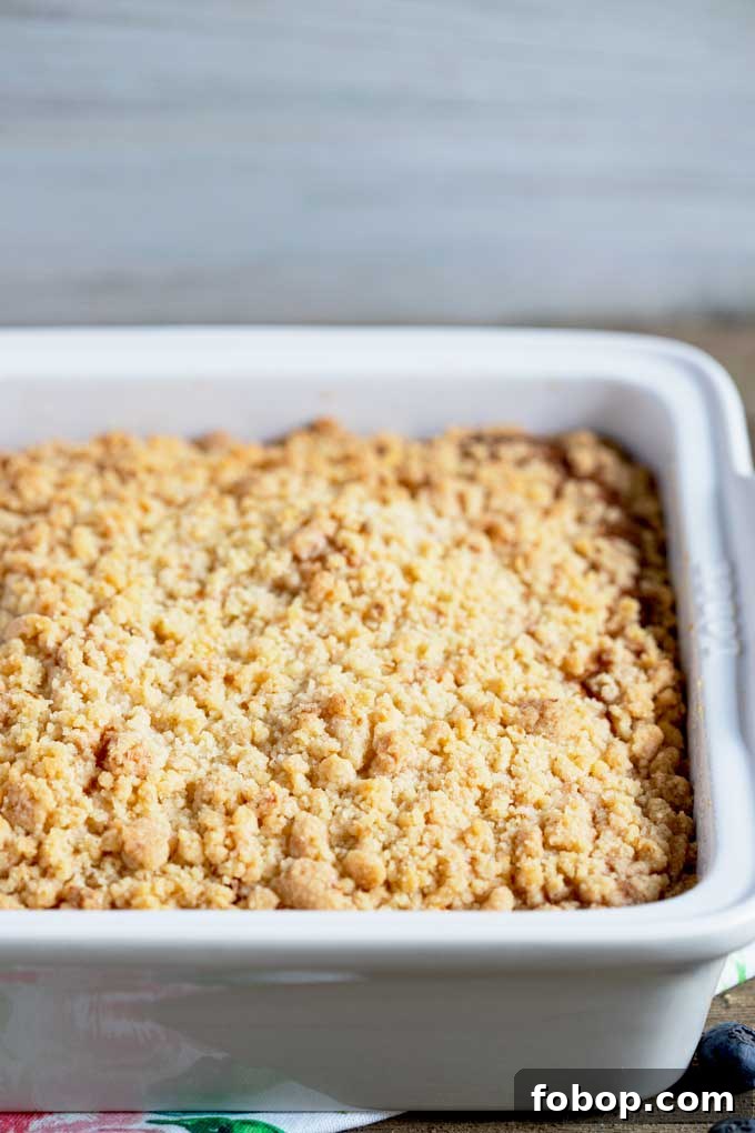 Blueberry Coffee Cake with Buttery Crumb Topping 13 View of the streusel top on a coffee cake