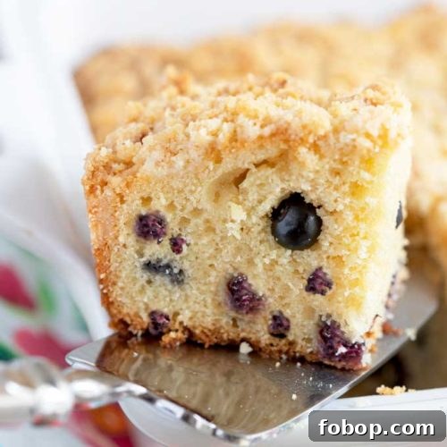 Blueberry Coffee Cake with Buttery Crumb Topping 14 A piece of coffee cake getting lift with a cake server from a baking dish.