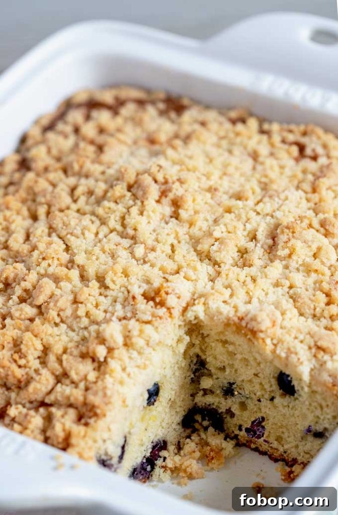 Blueberry Coffee Cake with Buttery Crumb Topping 3 View of the crumb topping of the coffee cake inside a baking dish.