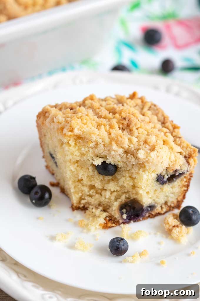 Blueberry Coffee Cake with Buttery Crumb Topping 4 A slice of blueberry coffee cake on a white plate.
