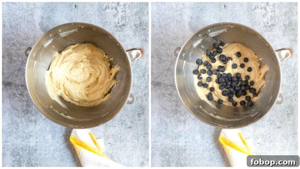 Blueberry Coffee Cake with Buttery Crumb Topping 10 Step By Step photos, folding fresh blueberries into the cake batter.