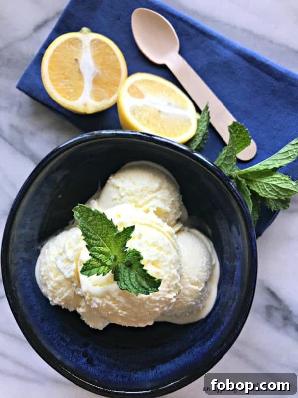 Refreshing Homemade Lemon Ice Cream Recipe 2 img 8536 1