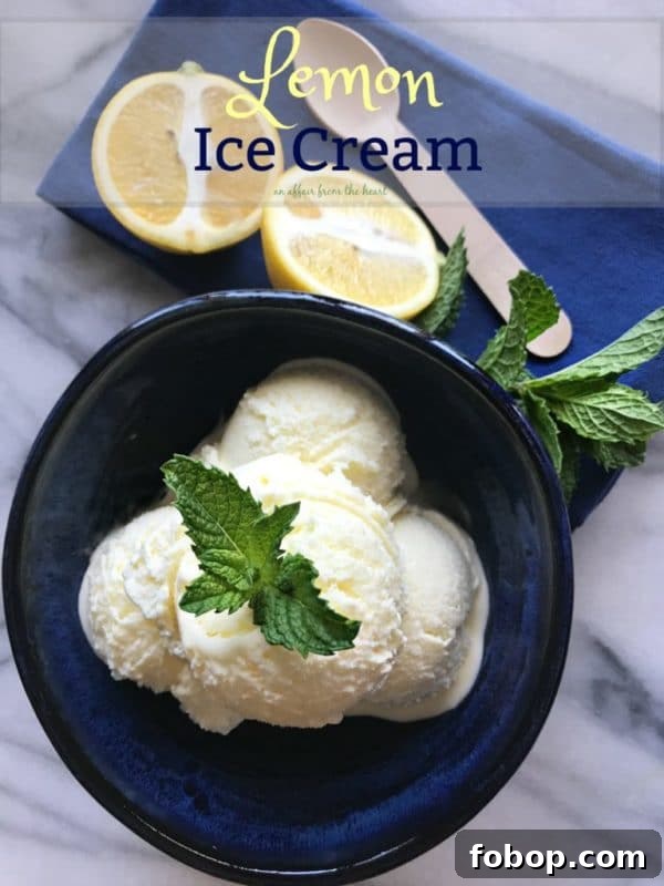 Refreshing Homemade Lemon Ice Cream Recipe 10 img 8536 13