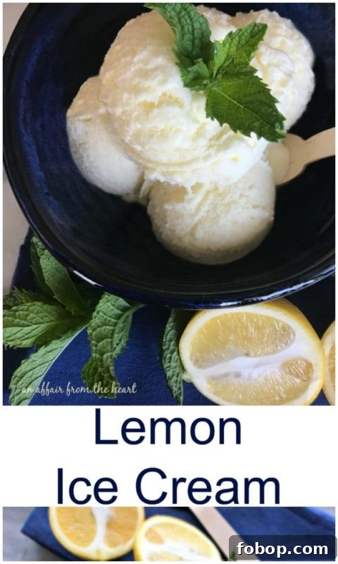 Refreshing Homemade Lemon Ice Cream Recipe 3 img 8536 2