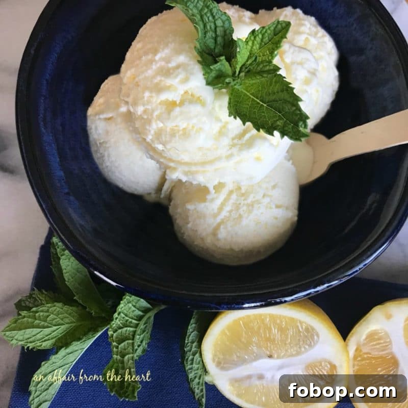 Refreshing Homemade Lemon Ice Cream Recipe 4 img 8536 3
