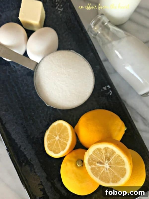 Refreshing Homemade Lemon Ice Cream Recipe 5 img 8536 4