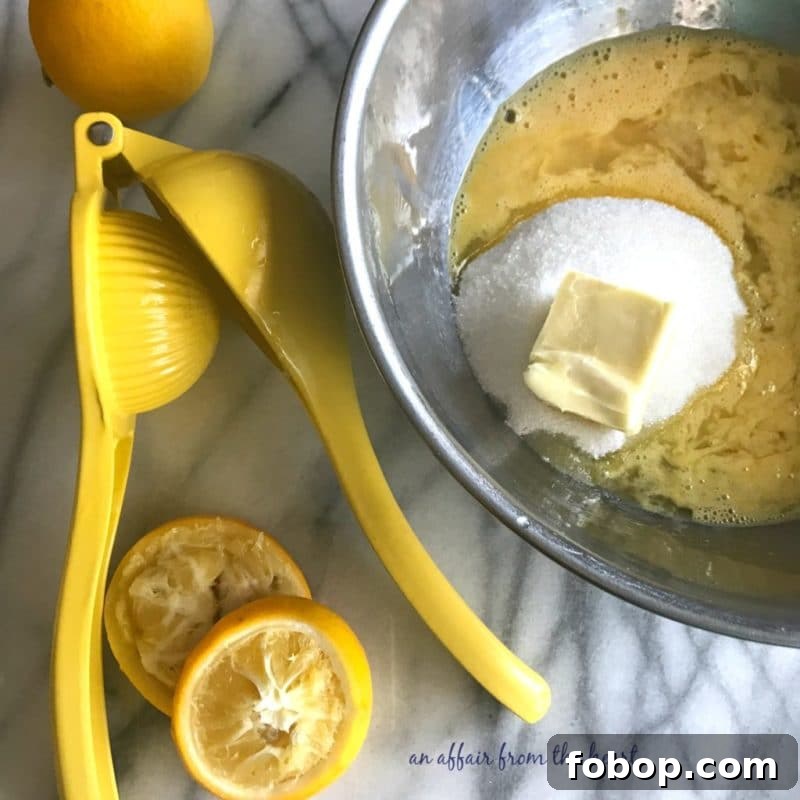 Refreshing Homemade Lemon Ice Cream Recipe 6 img 8536 5