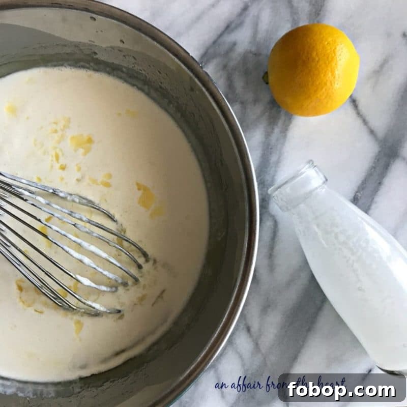 Refreshing Homemade Lemon Ice Cream Recipe 7 img 8536 6
