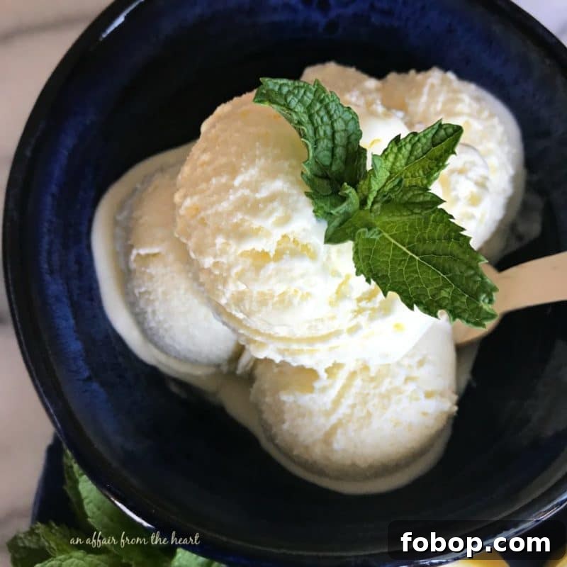 Refreshing Homemade Lemon Ice Cream Recipe 8 img 8536 7