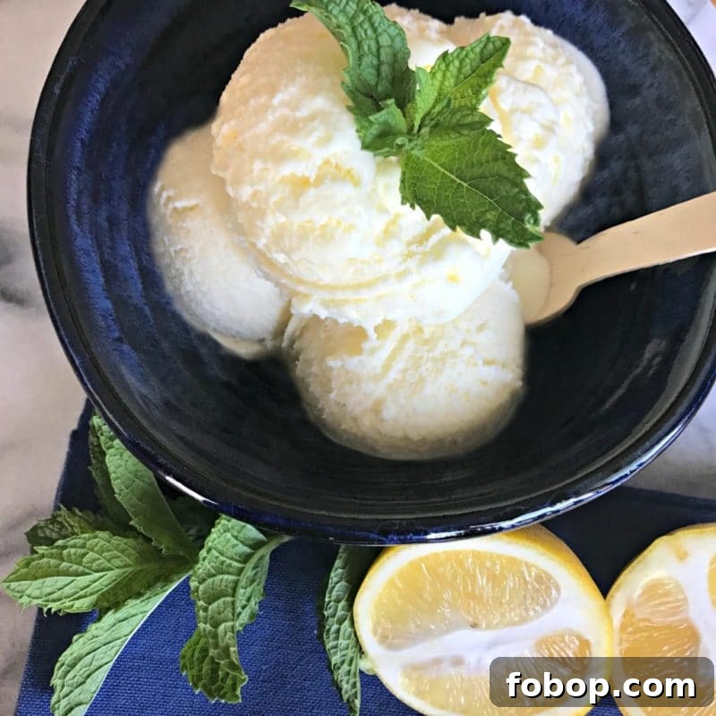 Refreshing Homemade Lemon Ice Cream Recipe 9 img 8536 8