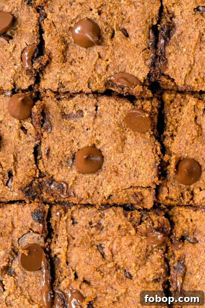 close up of chocolate chip pumpkin blondies