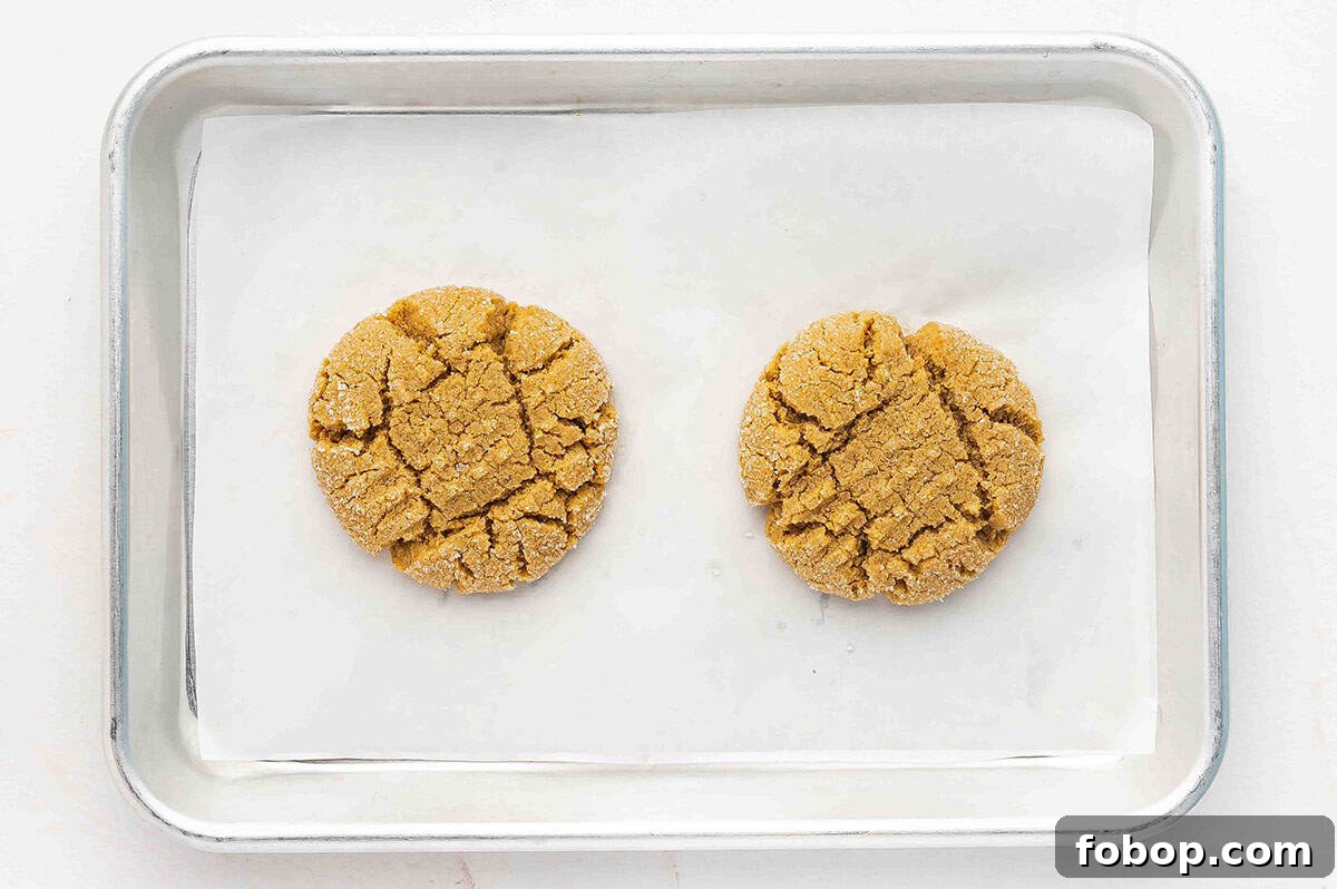Overhead view of two peanut butter cookies on a baking sheet