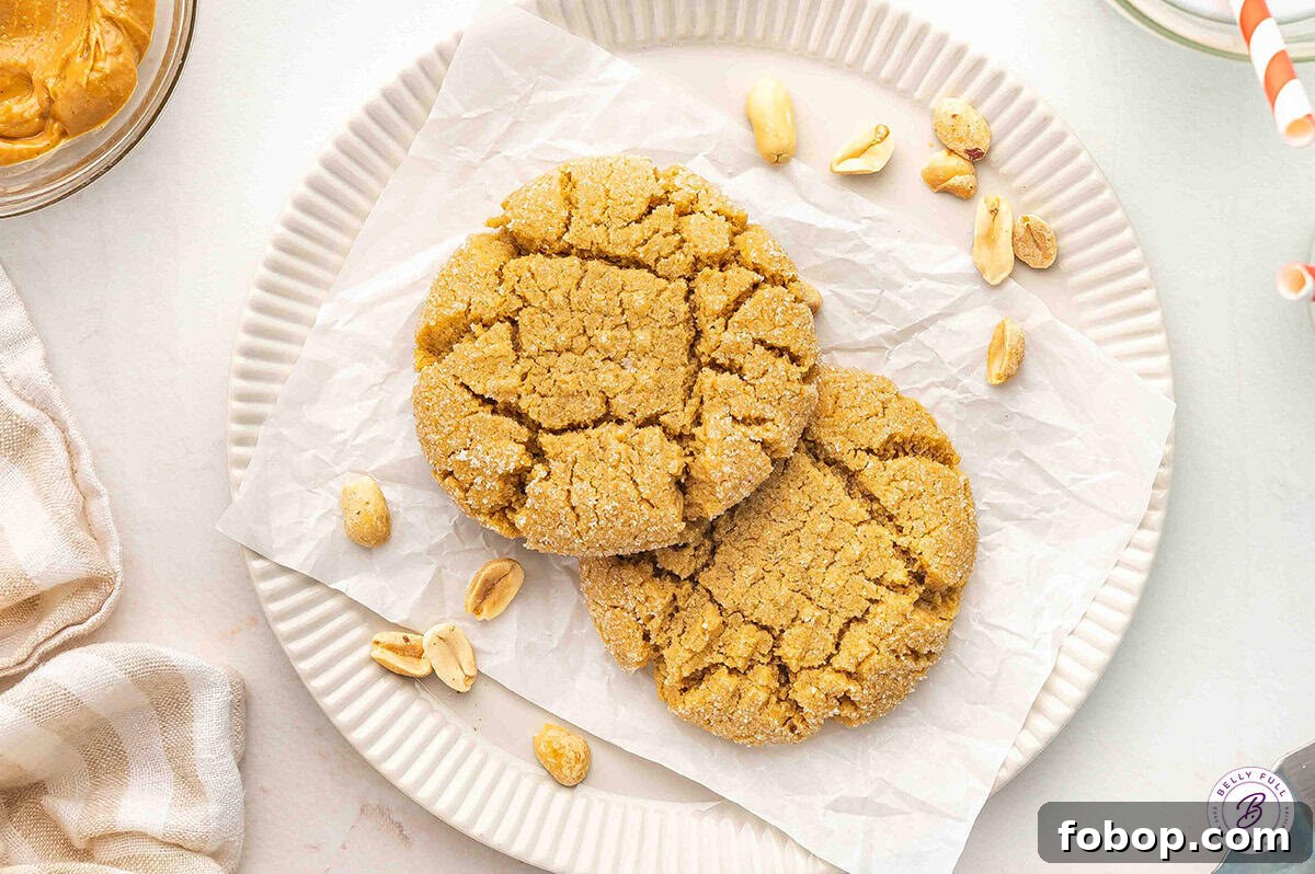 Overhead view of two peanut butter cookies on a plate