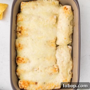 Creamy Chicken, Spinach & Mushroom Enchiladas Recipe 2 creamy chicken spinach and mushroom enchiladas in pan