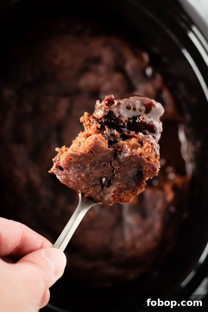 Slow Cooker Chocolate Pudding Cake Recipe for Decadent Dessert 5 Chocolate pudding cake
