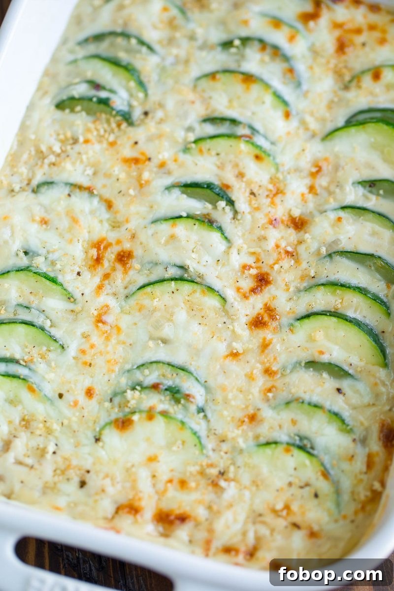 Cheesy Zucchini Casserole with Crispy Breadcrumb Topping 5 Zucchini Casserole