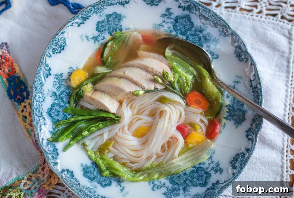 Ginger Chicken and Vegetable Soup Recipe for Immunity and Comfort 2 Bowl of vegetable and chicken soup