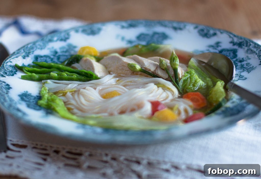 Ginger Chicken and Vegetable Soup Recipe for Immunity and Comfort 3 Ingredients for the soup