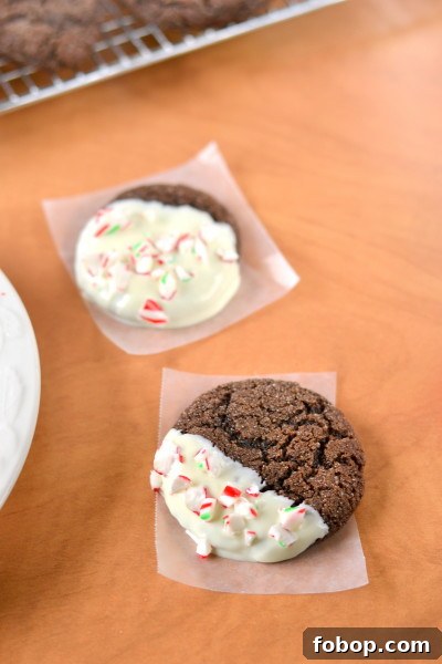 chewy whole wheat chocolate cookies closeup