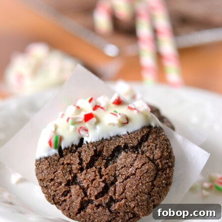 Chewy Whole Wheat Chocolate Cookies