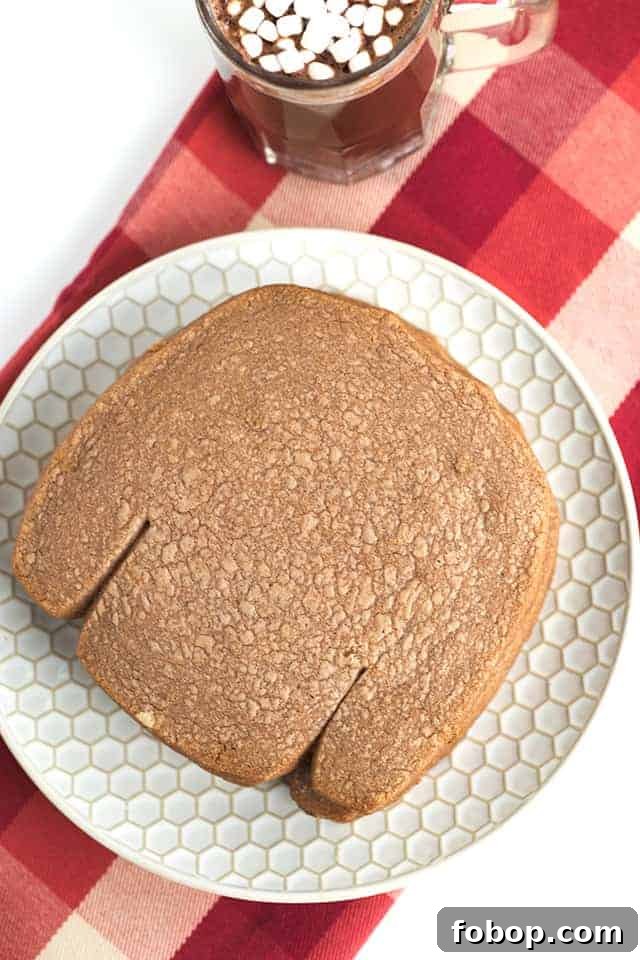 unfrosted hot cocoa cookies on red plaid fabric