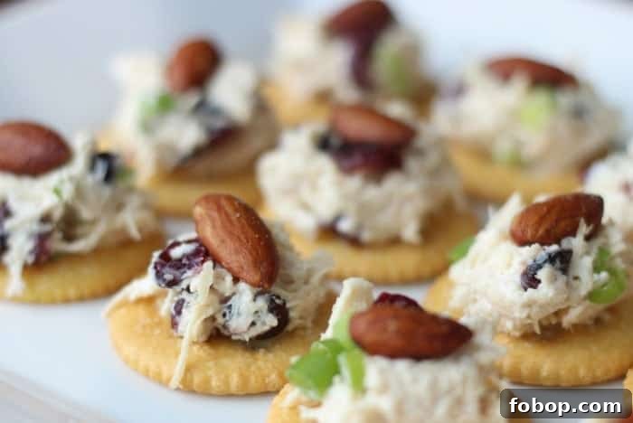 smoked almond chicken salad on RITZ crackers