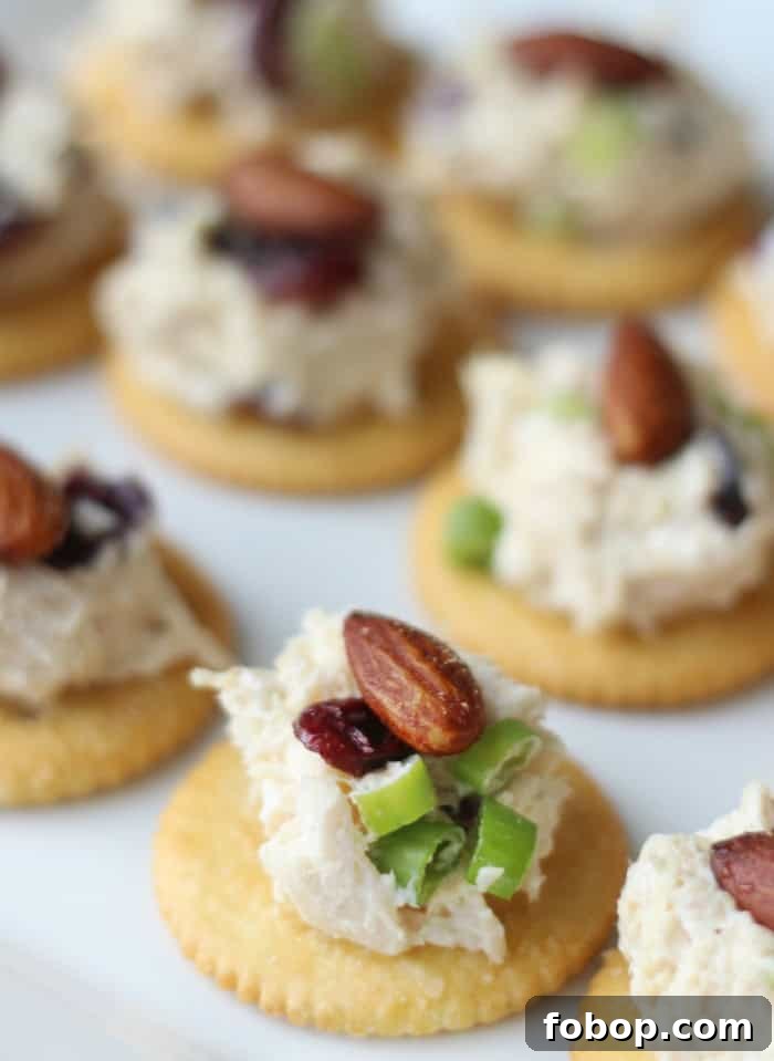 Smoked almond chicken salad on RITZ