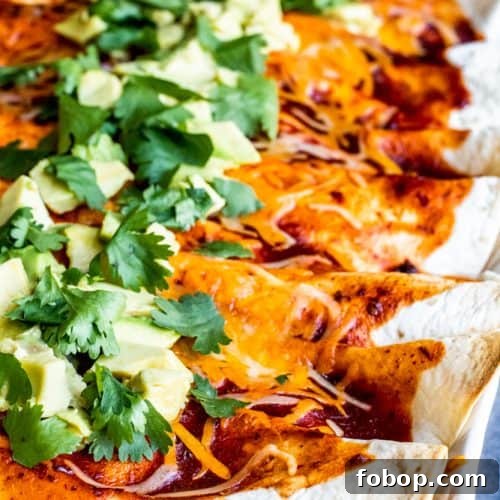 Vegetarian enchiladas with roasted cauliflower.